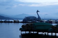 IMG_0566