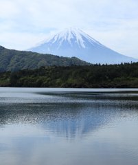 IMG_0679