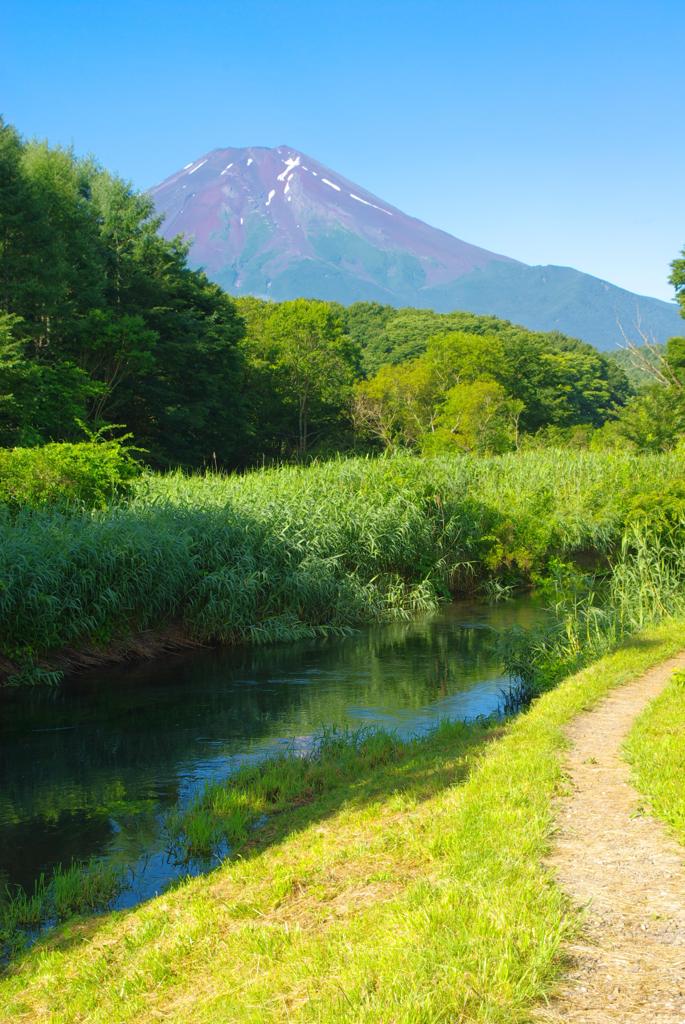 富士と小川
