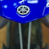 YZF-R1