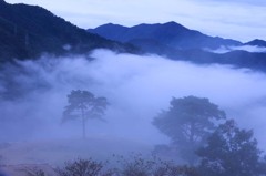 竹田城跡(雲海005)