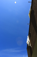 庭から見る青空