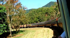 ケアンズで電車