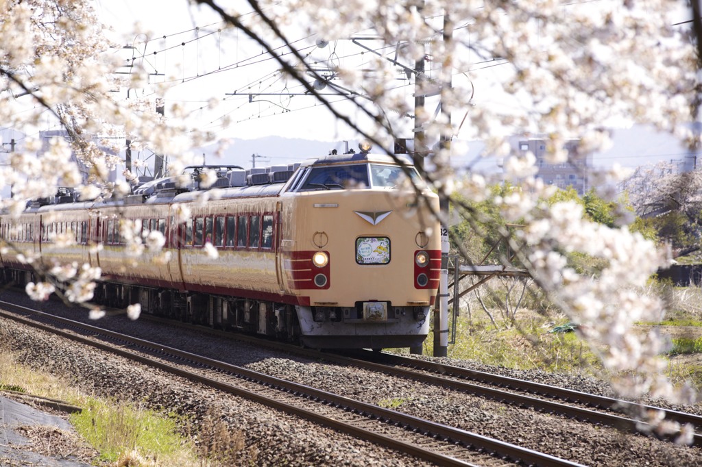 485系「福が満開、福のしま」