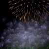 夜空に浮かぶ紫陽花