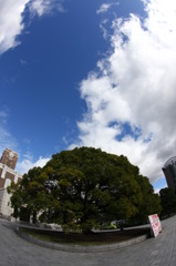 ２００９～関西旅行～