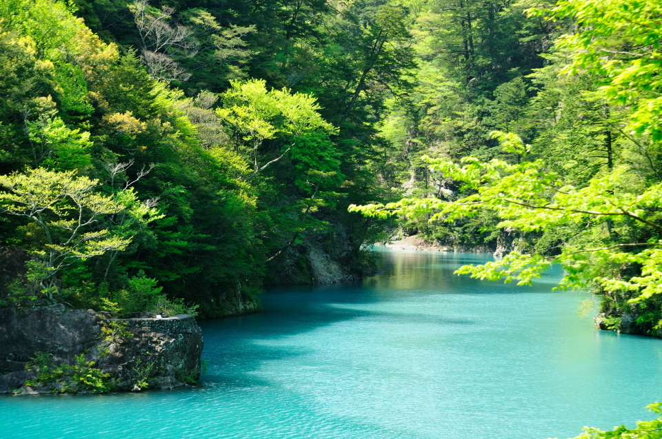 新緑のダム湖