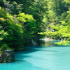 新緑のダム湖