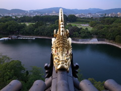 にらめっこ