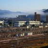 朝陽を受けて