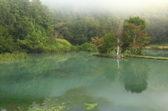 白水の池