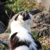 うん？