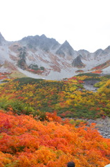 王道の紅葉