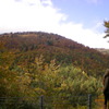 尾瀬の紅葉
