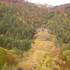 尾瀬の紅葉