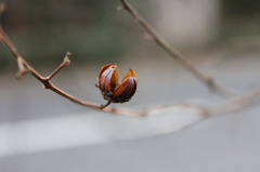 お疲れ様