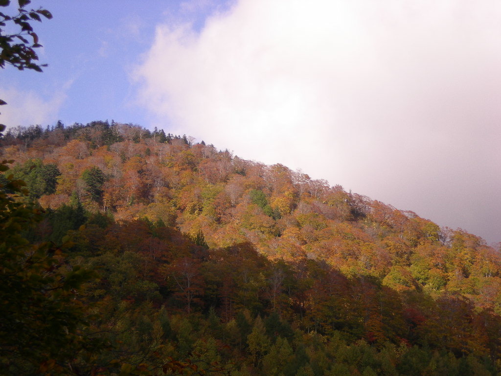 尾瀬の紅葉