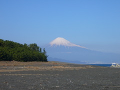 富士１