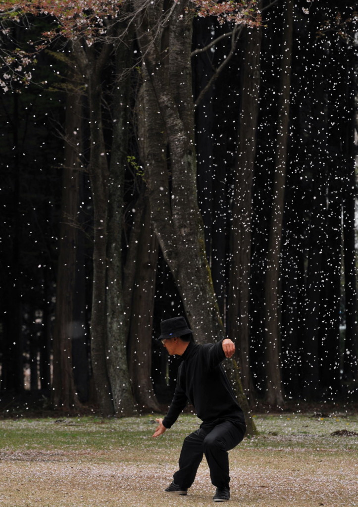 桜吹雪の拳