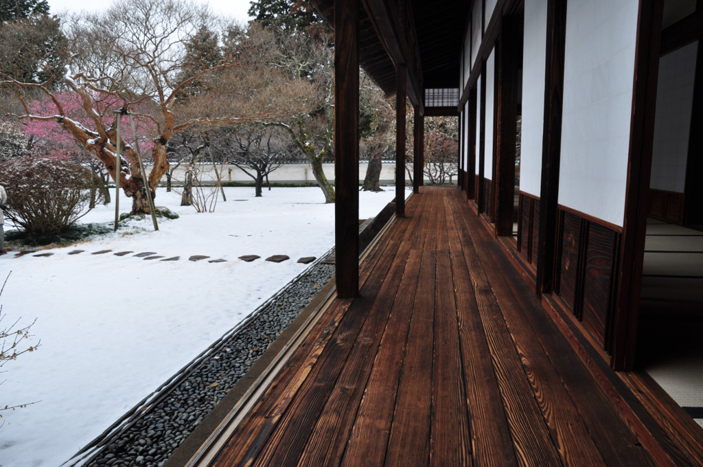 縁側と雪