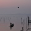 夜明けの出漁