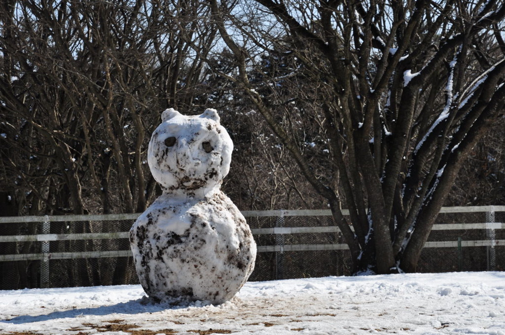 汚れちまった雪だるま
