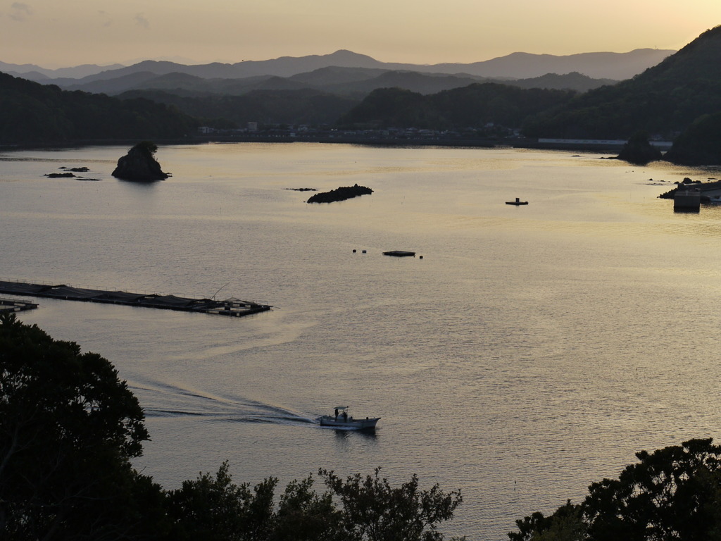 箱海
