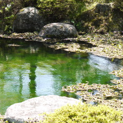 種蒔き権兵衛の里庭園2