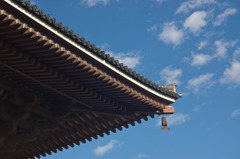 2010年　1月2日　西新井大師初詣　空。