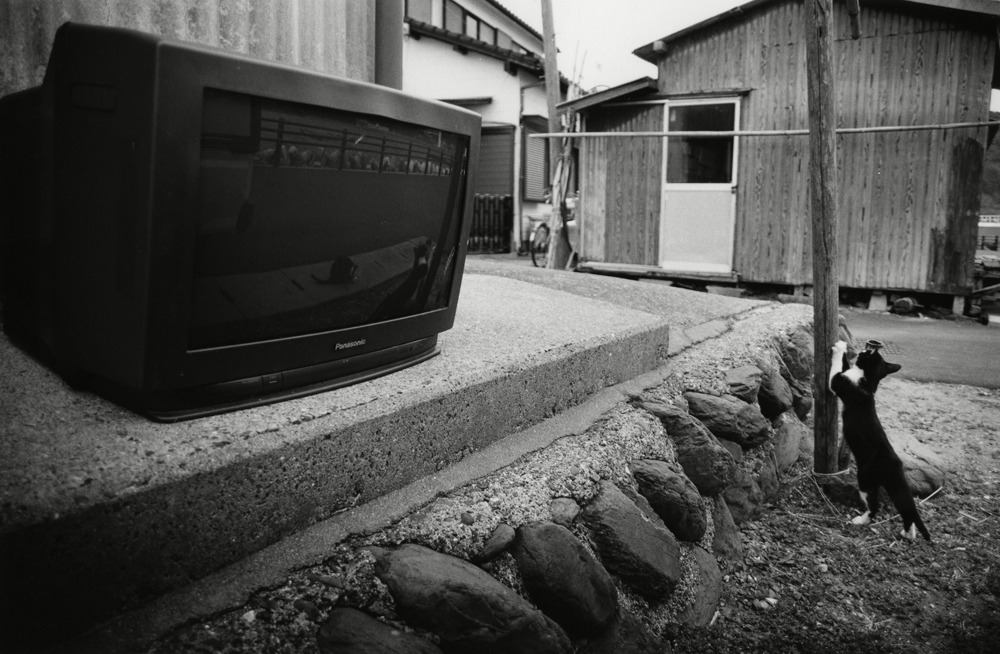 masa031