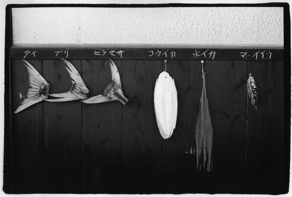 masa017
