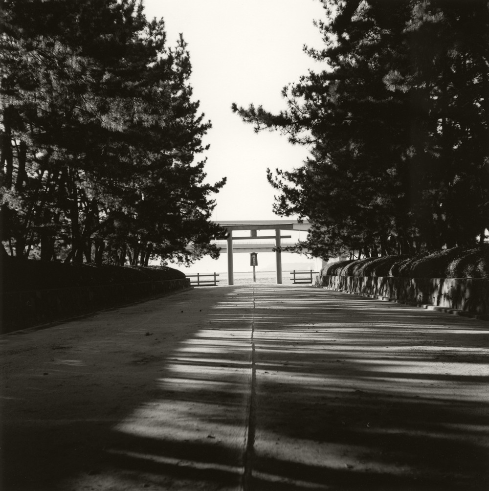 masa041