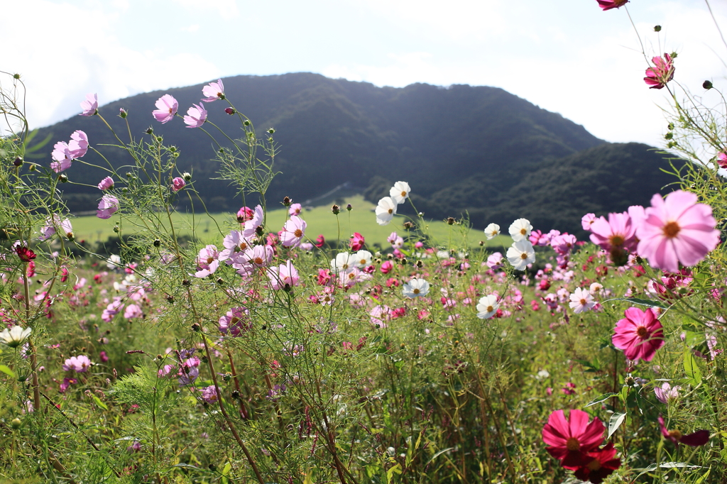 IDojgBzFTo0L1iXx0503ks3kskXL01