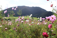 IDojgBzFTo0L1iXx0503ks3kskXL01