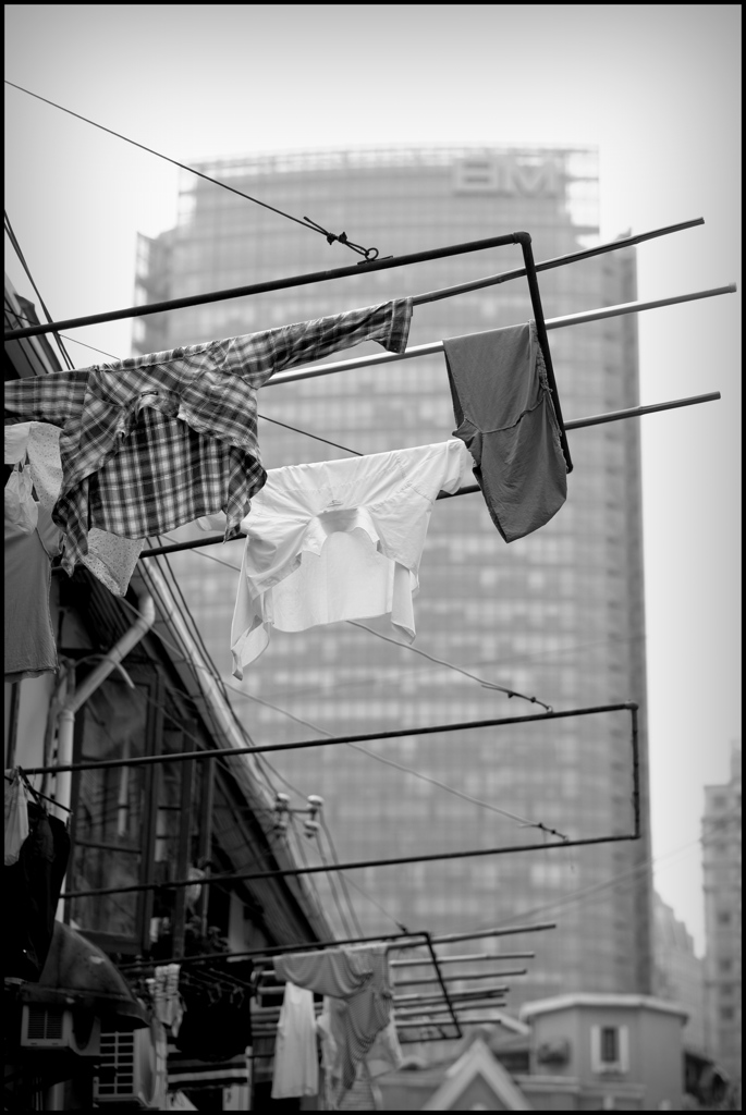 ビルの谷間に咲く