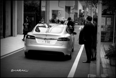 TESLA