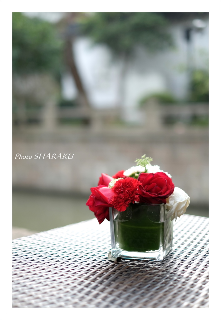 薔薇 2