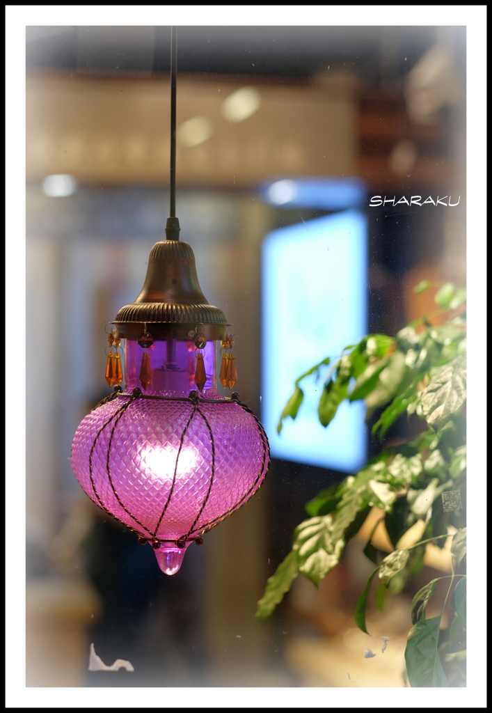 Purple Light