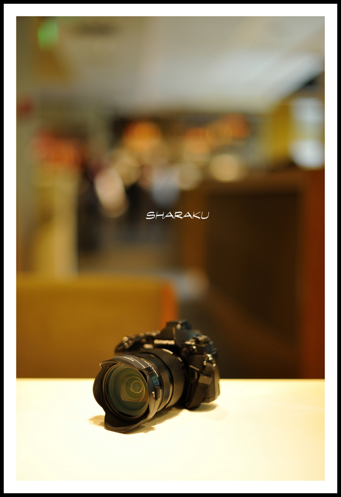 OLYMPUS OM-D E-M1 
