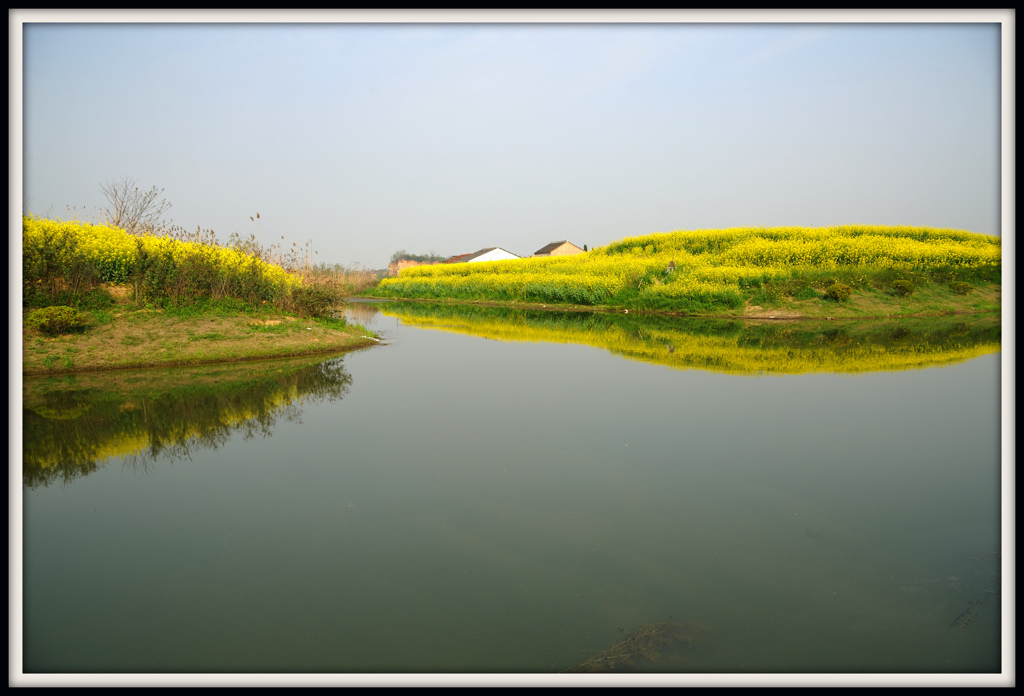 「菜の花のある風景」 ⑩
