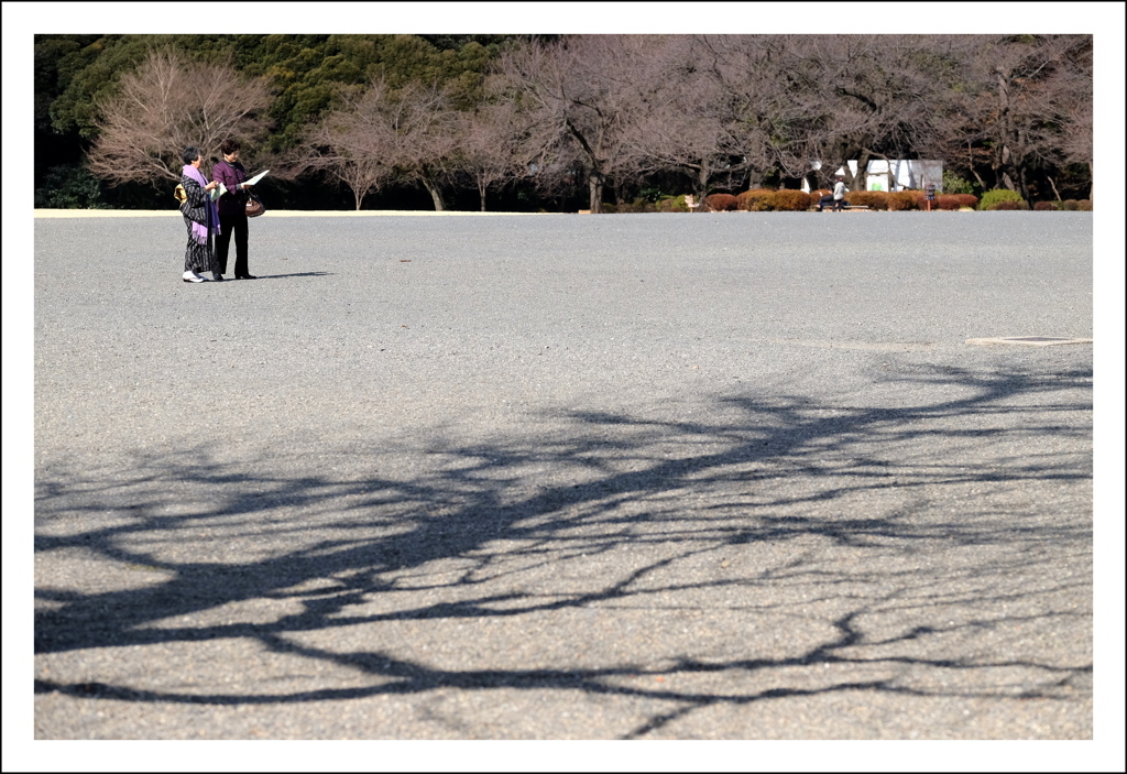 晴れの御苑