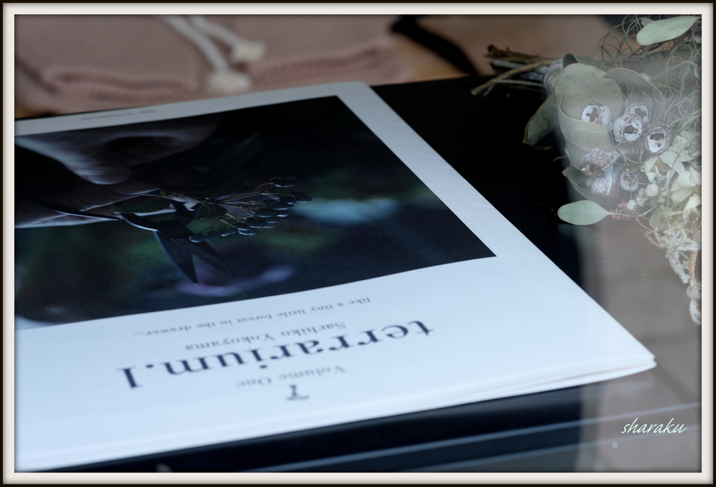 terrarium.1