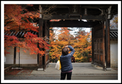 ”そうだ、京都を撮ろう”