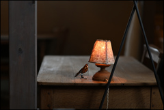 スタンドに向かい