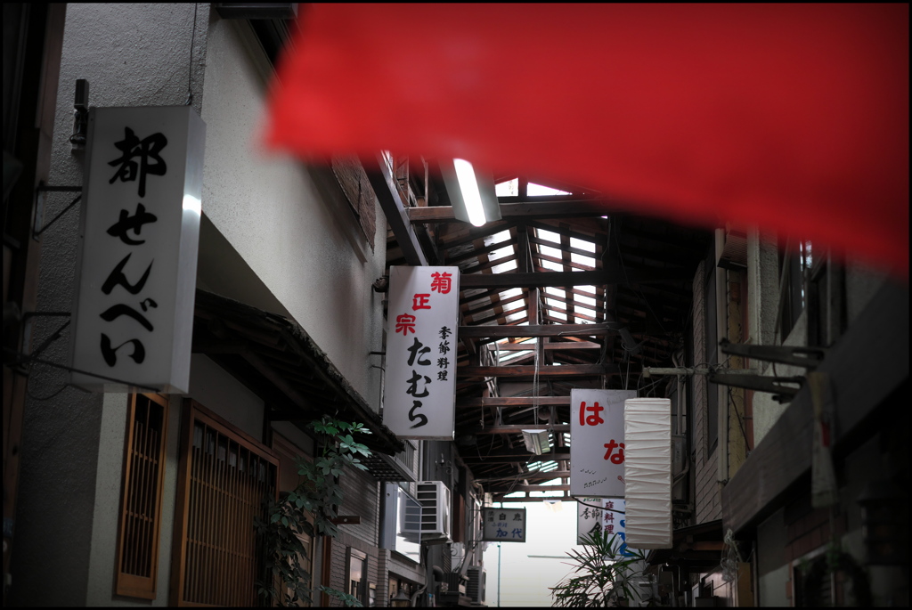 今宵はどちらへ？