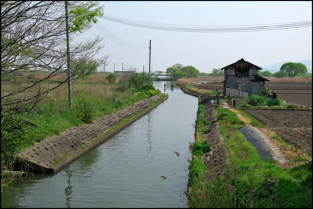 水郷を下りながら...
