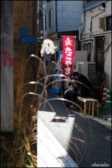 yanaka 5