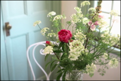 窓辺の花