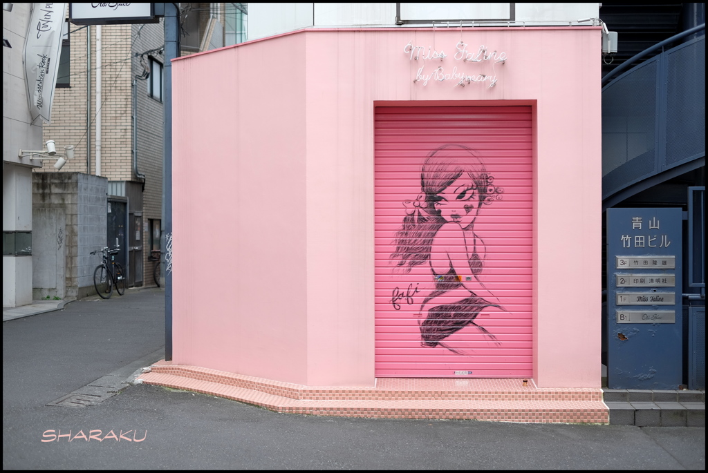 ピンクの誘い