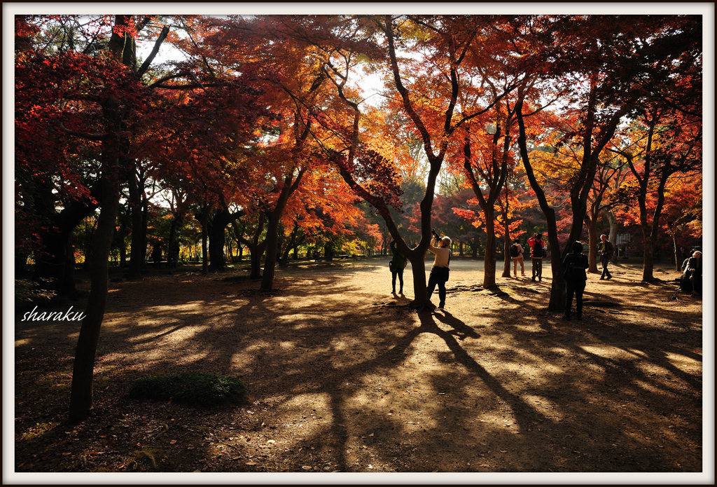 平林寺 ①